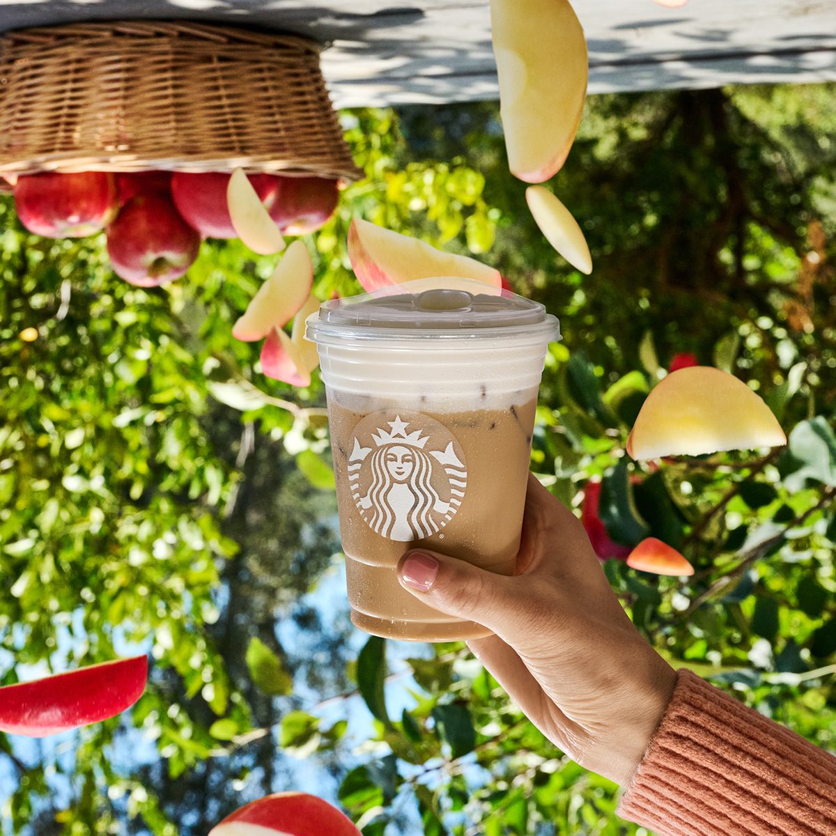 Iced Apple Crisp Nondairy Cream Chai Tea Latte from the Starbucks Fall Menu