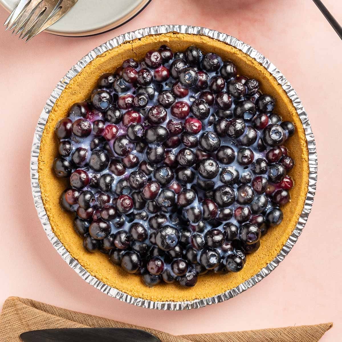 Taste of Home No Bake Blueberry Pie recipe photo of the finished recipe.