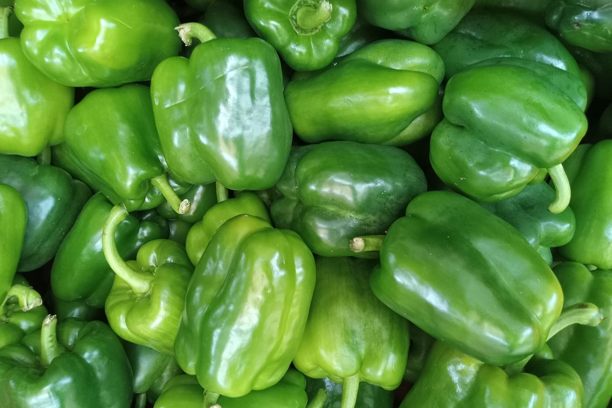 You’ll Never Find Green Peppers in the Bell Pepper Multipacks—Here’s Why