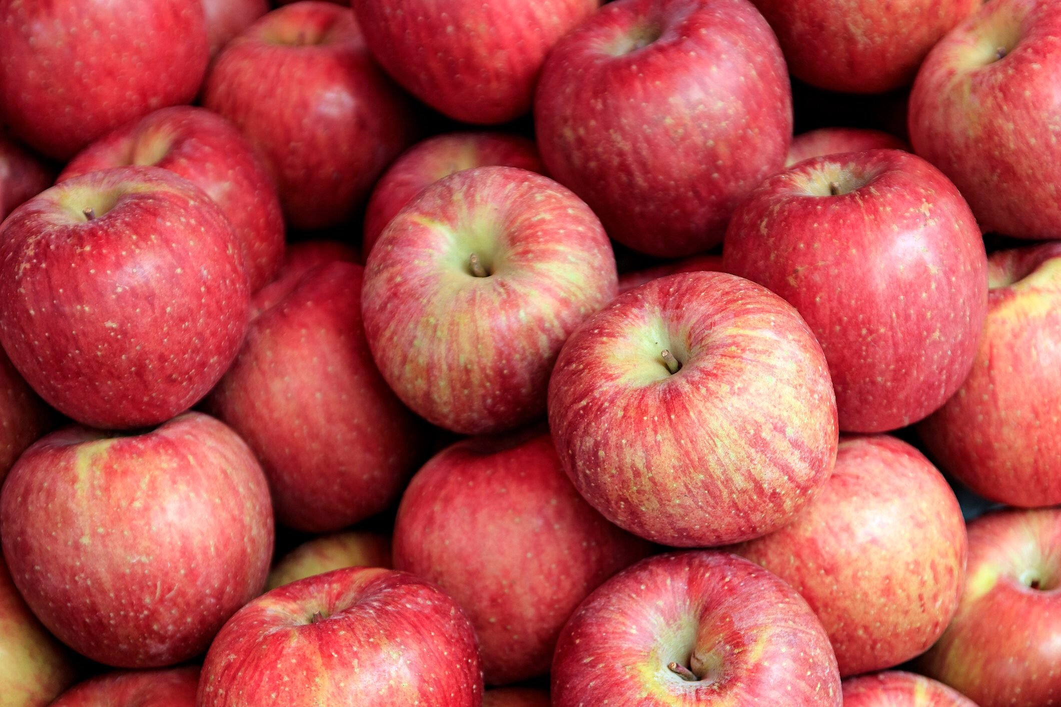 How to Pick the Best Apples at the Orchard or Grocery Store