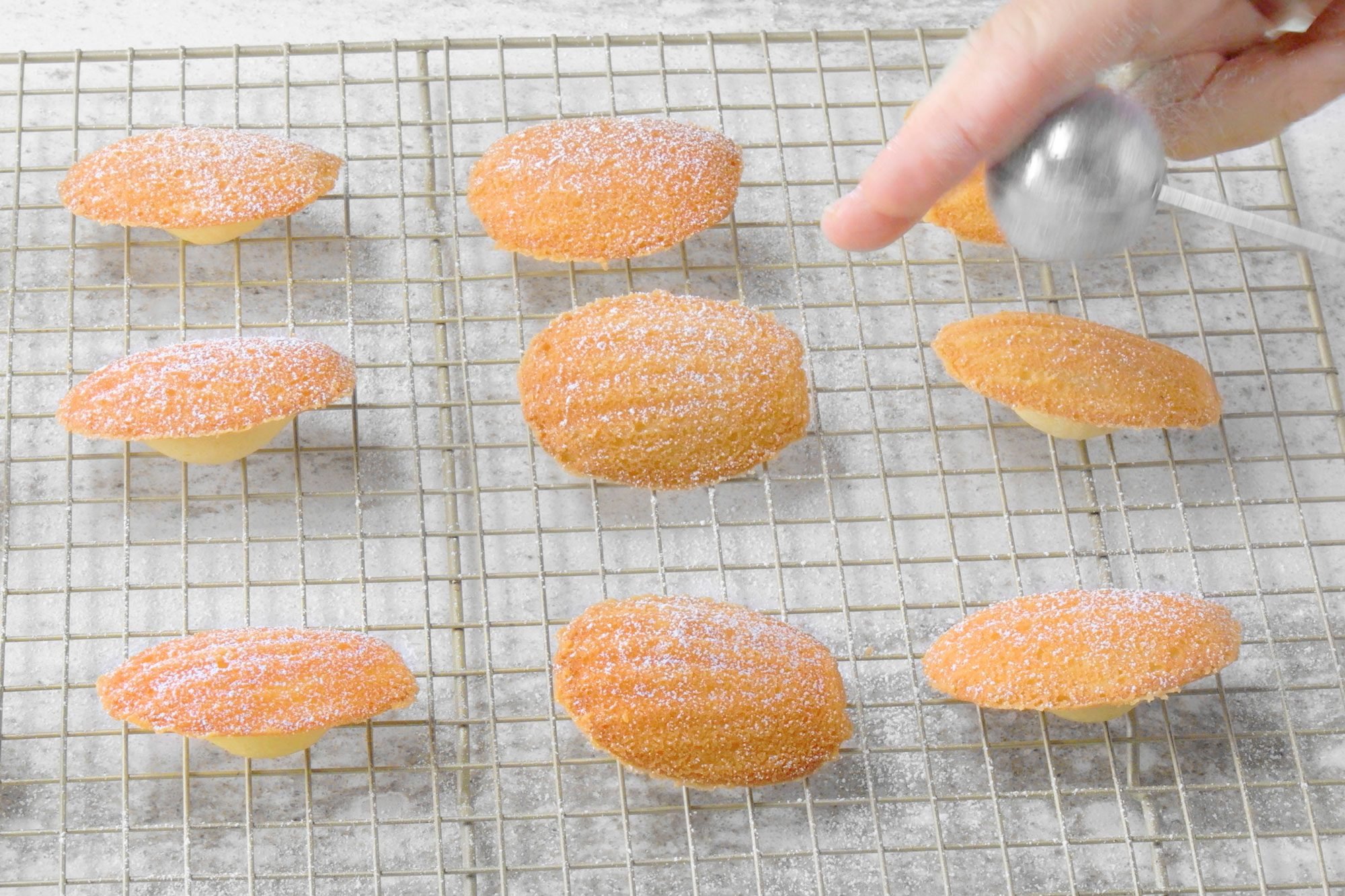 Dust Madeleine Cookies with confectioners' sugar