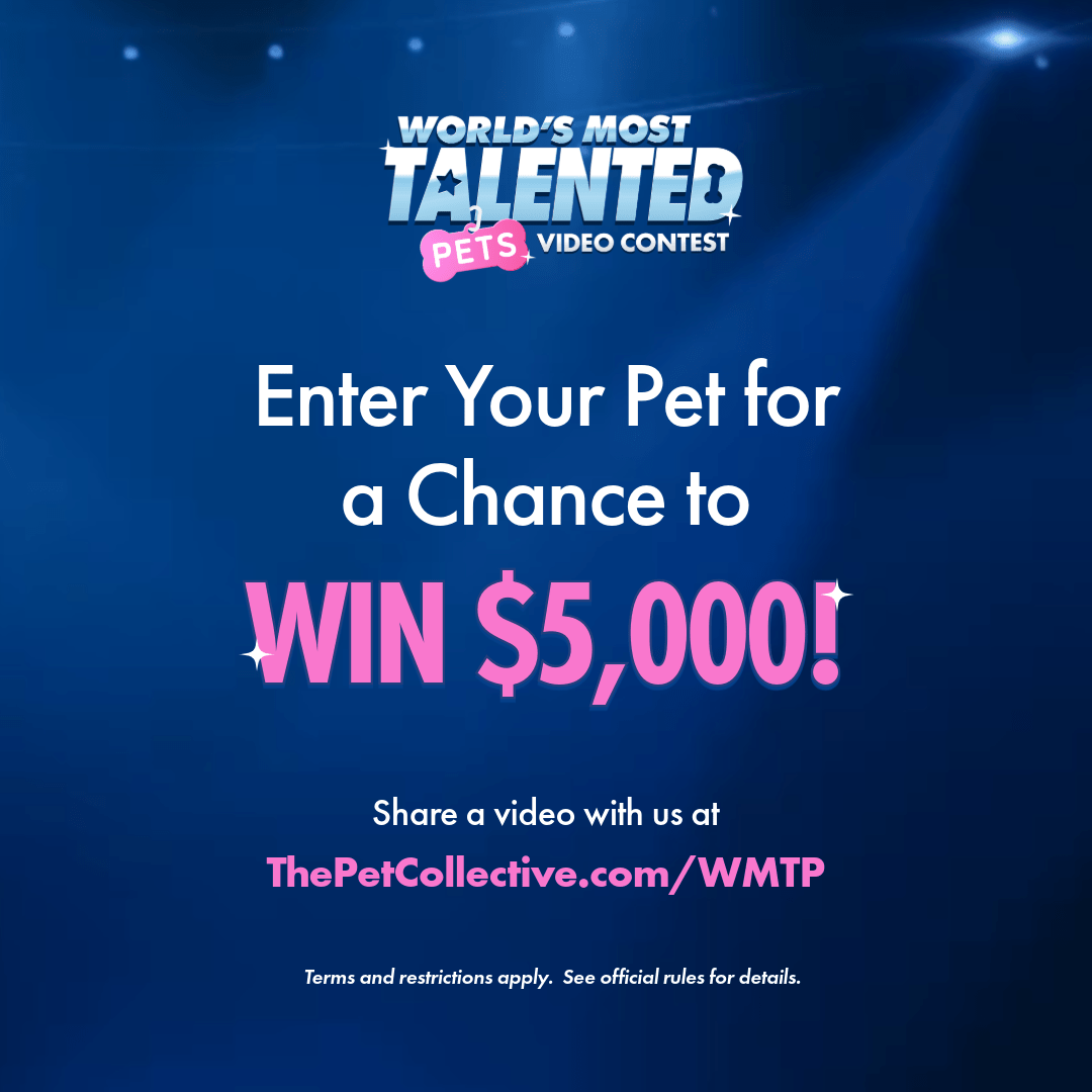 Your Talented Pet Could Win $5,000!